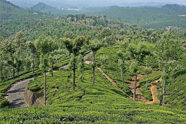 Munnar Cochin