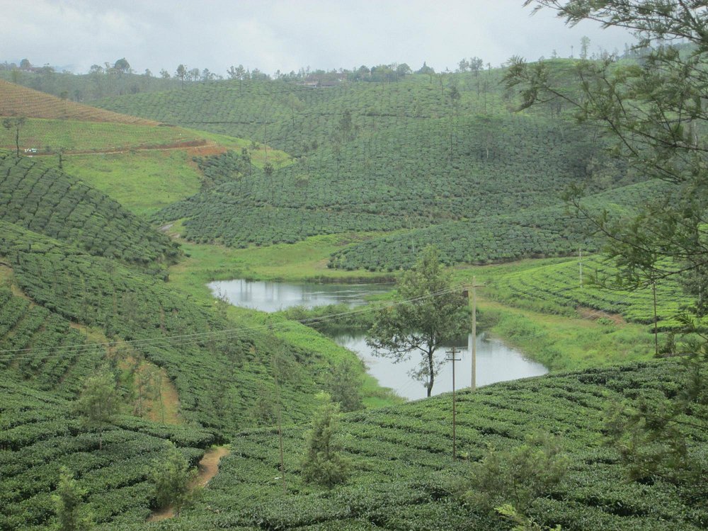 Munnar Kanthalloor